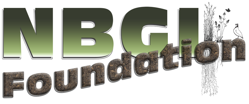 NBGIF Foundation Logo