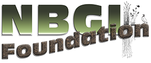 NBGI Foundation